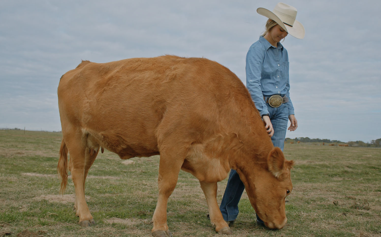 Peeler Farms Texas Wagyu Beef